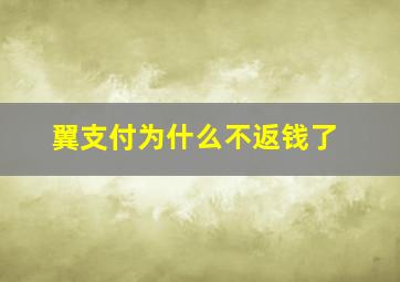 翼支付为什么不返钱了