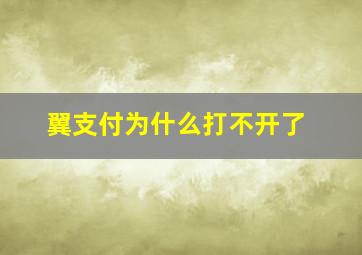 翼支付为什么打不开了