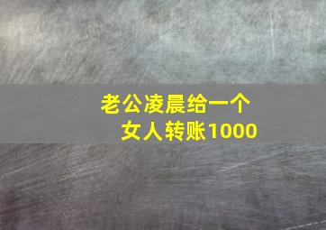 老公凌晨给一个女人转账1000