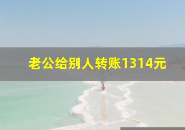 老公给别人转账1314元