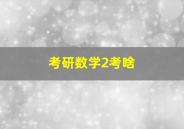 考研数学2考啥