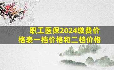 职工医保2024缴费价格表一档价格和二档价格