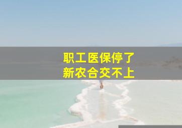 职工医保停了新农合交不上