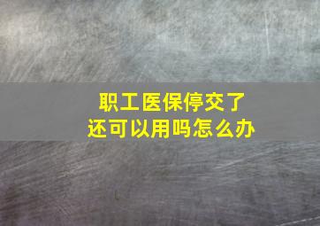 职工医保停交了还可以用吗怎么办