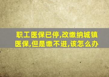 职工医保已停,改缴纳城镇医保,但是缴不进,该怎么办