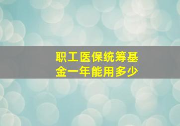 职工医保统筹基金一年能用多少