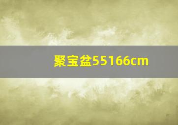 聚宝盆55166cm