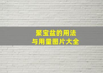 聚宝盆的用法与用量图片大全