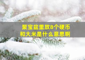 聚宝盆里放8个硬币和大米是什么意思啊