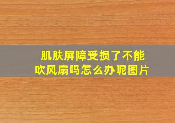 肌肤屏障受损了不能吹风扇吗怎么办呢图片