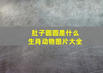 肚子圆圆是什么生肖动物图片大全