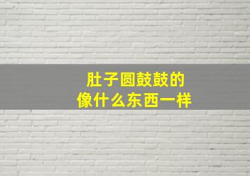 肚子圆鼓鼓的像什么东西一样