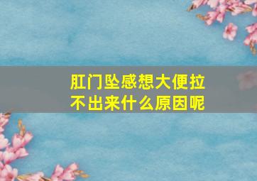 肛门坠感想大便拉不出来什么原因呢