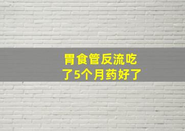 胃食管反流吃了5个月药好了