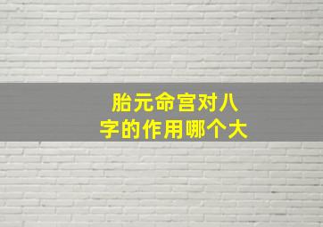 胎元命宫对八字的作用哪个大