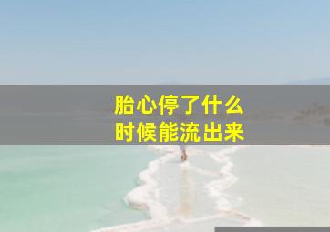 胎心停了什么时候能流出来