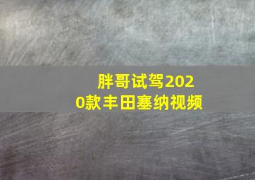 胖哥试驾2020款丰田塞纳视频