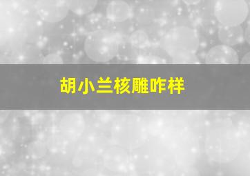 胡小兰核雕咋样