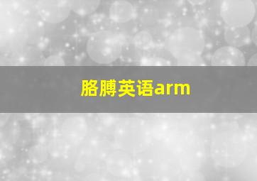 胳膊英语arm