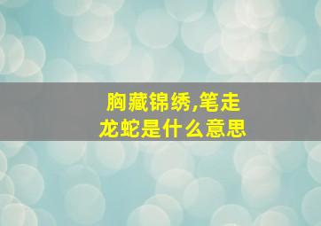 胸藏锦绣,笔走龙蛇是什么意思