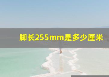 脚长255mm是多少厘米