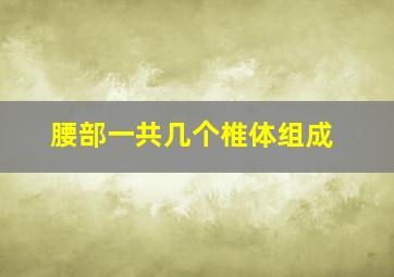 腰部一共几个椎体组成