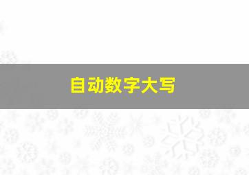 自动数字大写