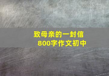 致母亲的一封信800字作文初中