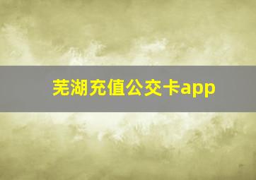 芜湖充值公交卡app