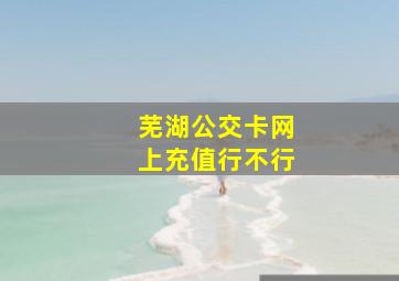 芜湖公交卡网上充值行不行