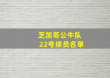 芝加哥公牛队22号球员名单