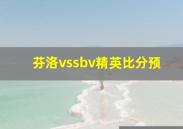 芬洛vssbv精英比分预