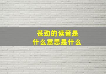 苍劲的读音是什么意思是什么