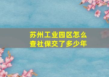 苏州工业园区怎么查社保交了多少年