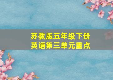 苏教版五年级下册英语第三单元重点