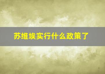 苏维埃实行什么政策了