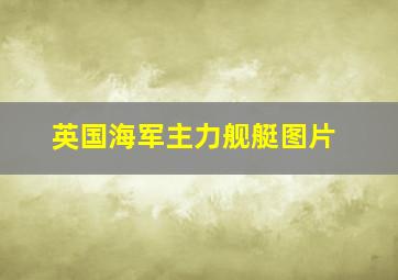 英国海军主力舰艇图片