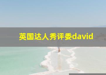 英国达人秀评委david