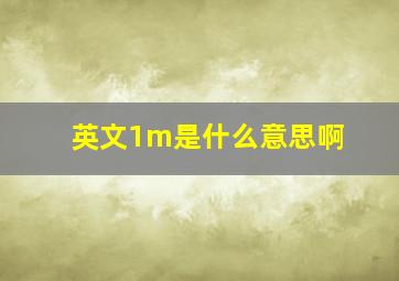 英文1m是什么意思啊