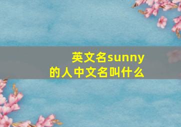 英文名sunny的人中文名叫什么