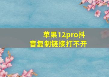 苹果12pro抖音复制链接打不开