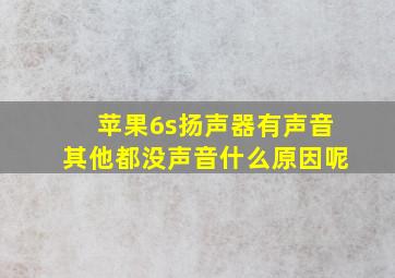 苹果6s扬声器有声音其他都没声音什么原因呢