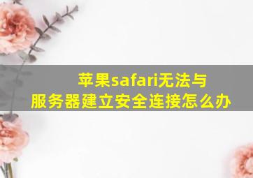 苹果safari无法与服务器建立安全连接怎么办