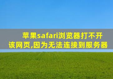 苹果safari浏览器打不开该网页,因为无法连接到服务器