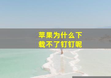 苹果为什么下载不了钉钉呢