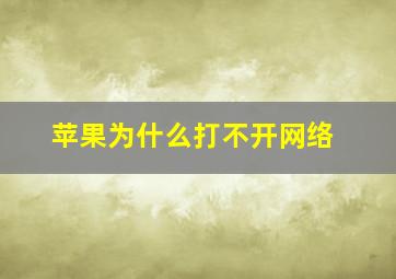 苹果为什么打不开网络