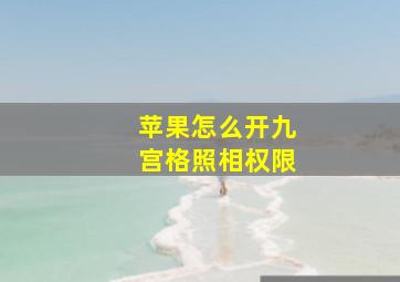 苹果怎么开九宫格照相权限