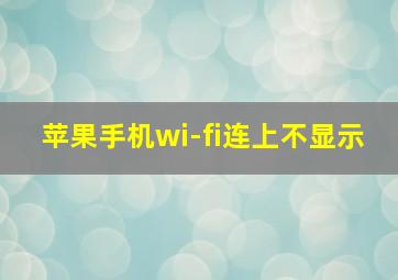 苹果手机wi-fi连上不显示