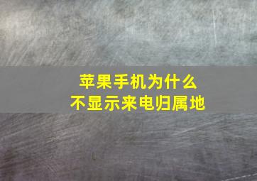 苹果手机为什么不显示来电归属地