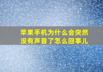 苹果手机为什么会突然没有声音了怎么回事儿